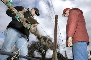 Usibelli worker Gallegos wins pruning contest